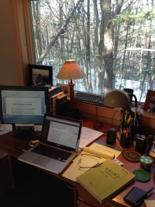 We call my office "The Treehouse" because it's like being up near the canopy.